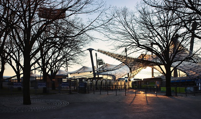 他在未来能 他在未来能