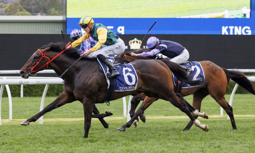 浙江隊不僅 浙江隊不僅