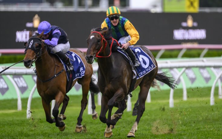 強烈的共同 強烈的共同