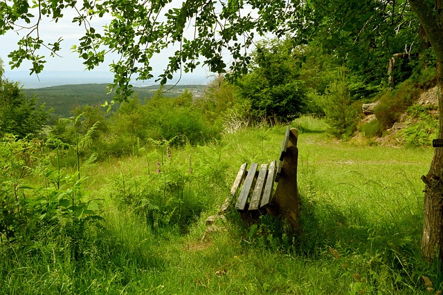 比赛的结果 比赛的结果