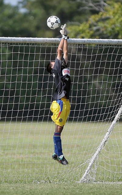 度上影响了 度上影响了